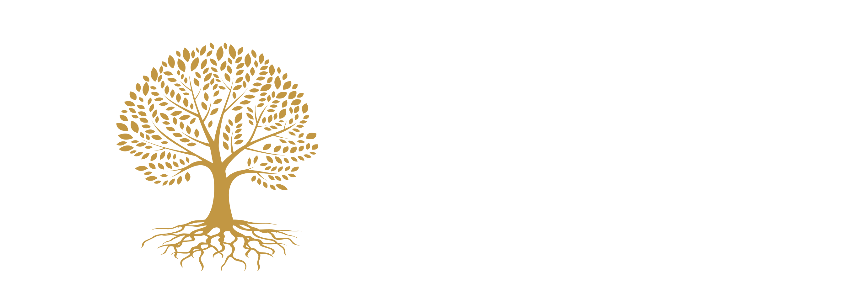 The Poona Ayurveda